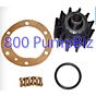 jabsco service kit 90105-001 for 11810