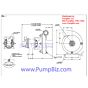 dimensions drawing Cement Truck Pump w/Hydraulic Motor MP 36589