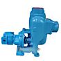 Flowmax hydraulic cast iron motor pump