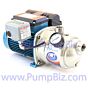 Pearl Calpeda - JSCQ 15C16D JSC  Pump 