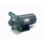 Sta-rite Centrifugal Pump High Pressure