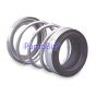 AMT pump shaft seal 1646-421-00