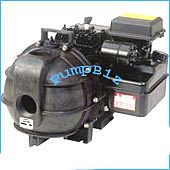 Riverside AP22B L1549z Portable Gas Engine Ag Water Pump 2
