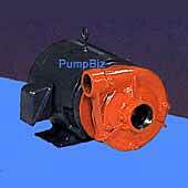 berkeley B1-1/2TPMS B58084 Centrifugal Pump electric motor