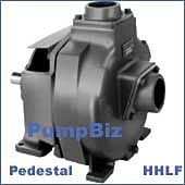 MP 38093 High Head Pedestal pump