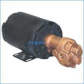 Oberdorfer N991RM-F07 Bronze Rotary Gear Pump w/ relief valve