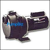 Wayne - WLS200: 2 HP Lawn Sprinkling Pump