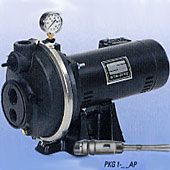 Sta-Rite PLD PKG 1-19CP Conv Jet Pump 3/4HP