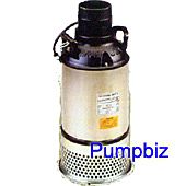 tsurumi_100AB2.4S-61 fountain pump