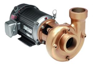 AMT 3151-98 High Flow 316SS Centrifugal pump 3hp