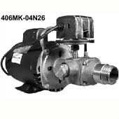 406M oberdorfer pump