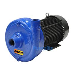 AMT 420A-95 1750 RPM Straight Centrifugal Pump