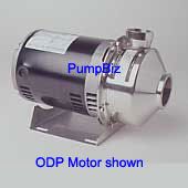 SS pump & motor