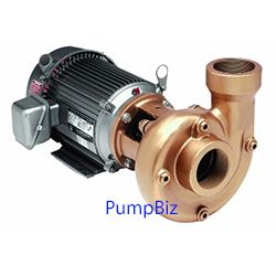 High Flow 316SS Centrifugal pump 3hp
