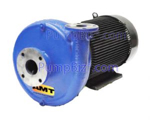 AMT 427A-95 1750 RPM Centrifugal Pump