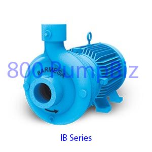IB1-1/2-3-2 Center Line Discharge pump