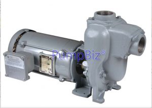 MP petroleum pump with explosion proof motor