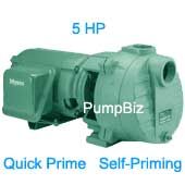 Self prime CI pump 5hp Irrigation
