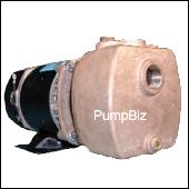 Bronze SP pump 1/3 hp