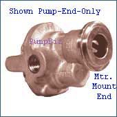 Bronze Rotary Gear Pump & Motor