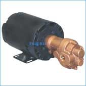 Bronze Rotary Gear Pump w/ relief valve