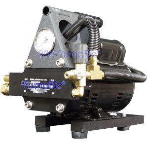 Hard surface Pump motor set (hard scape pump)