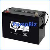 PumpBiz B12-100 Back-up Battery Pro Series Back-up Battery AGM