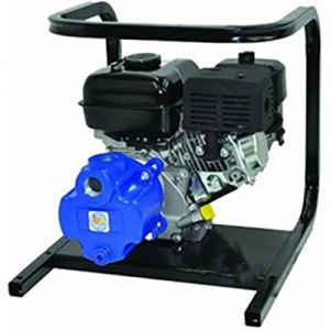 AMT 1G4XAR 1 inch  Utility Gas Water Pump