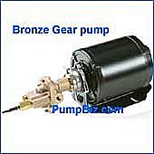 Bronze Gear pump 1/3 hp