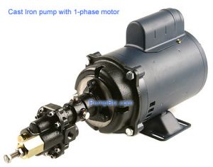 Cast Iron Gear pump 1/4"