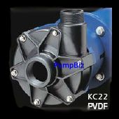 FTI Kynar Magnetic Pump