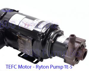 Sealless pump Ryton