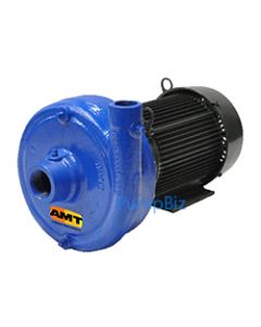 AMT 420A-95 1750 RPM Straight Centrifugal Pump