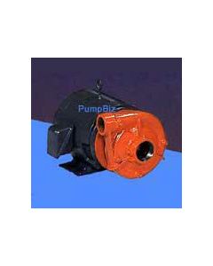 Berkeley B3EPBLS B58059 Centrifugal Water Pump