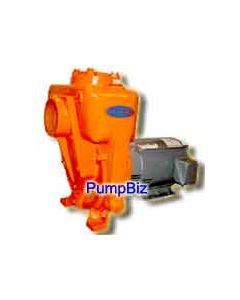 Berkeley B2XPKS B51503 Electric Self-Priming Pump