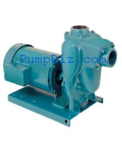 MP 38481 FM15 Pump FM 15 w/ motor