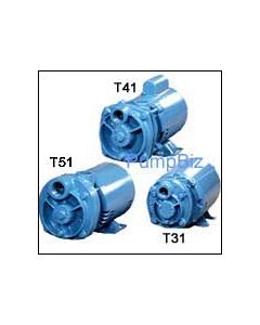 MTH T31FAB053TB Regenerative pump Regenerative Turbine Pump