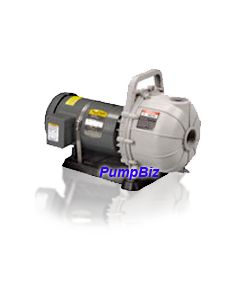 Pacer 58-2E4-C2.0C Pacer Pump SPRY2EL C2.0C