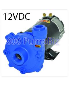 AMT - 489G-95: 12 Volt DC Washdown Pump