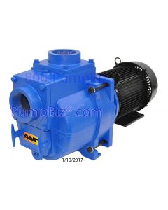 AMT Pumps - 394J-95: Electric Trash pump 