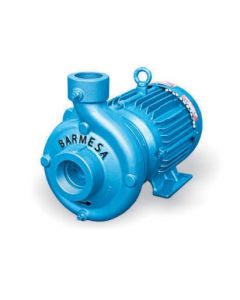 62071047 Centerline discharge end suction Barmesa_IB pump 10HP