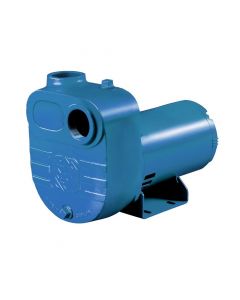 Monarch 92931020 Water pump FBSE-200 pump BSE