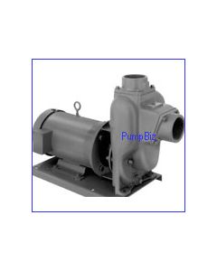 MP 28604 FM 10 w/ 5HP Motor