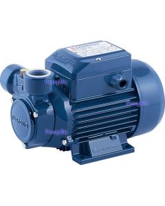 Turbine pump pedrollo