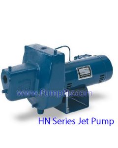 Sta-Rite HNE-L Shallow Well Jet Pump 1HP Deep well