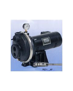 Sta-Rite PLF PKG1-24N Convertible Jet Pump 1.5HP