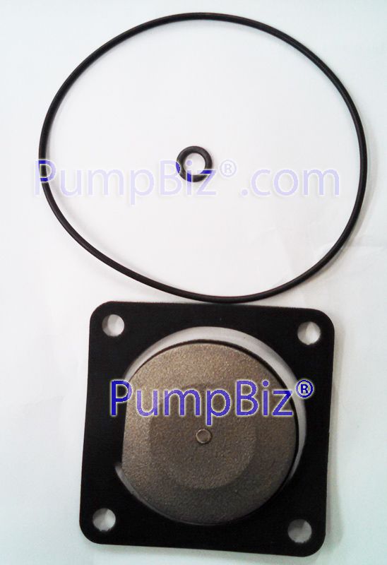 AMT 3993-300-91 O-Ring Gasket Kit
