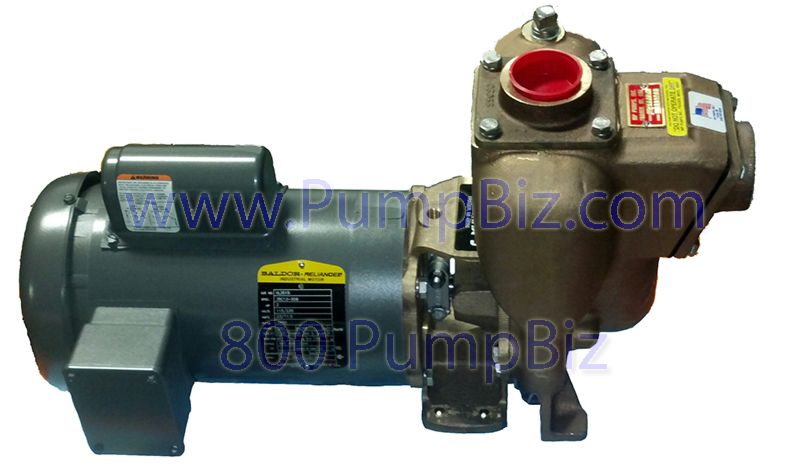 mp FM8 Stainless Steel Pump w/ Motor