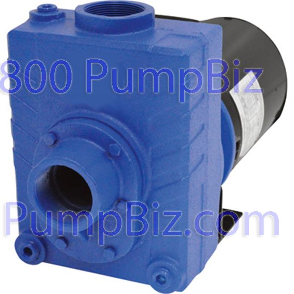 AMT - 2827-98: SS pump