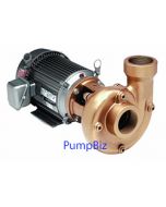 AMT 3151-98 High Flow 316SS Centrifugal pump 3hp